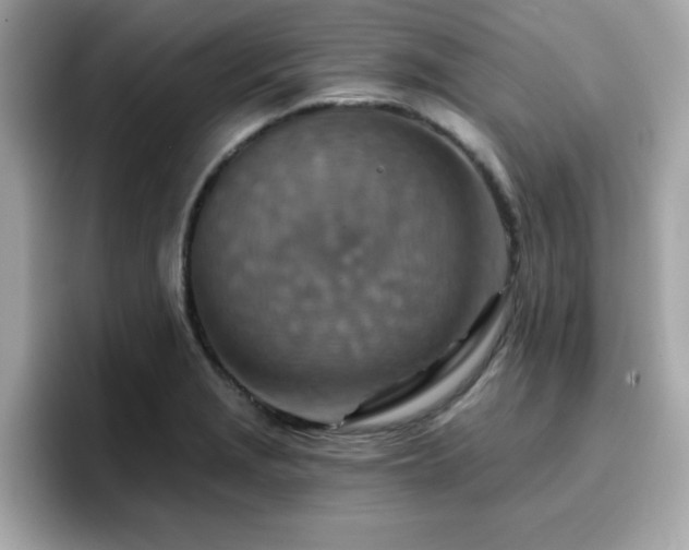 X0000096661229200802121124