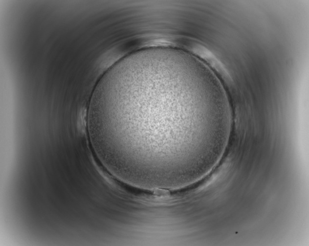 X0000096661233200802121124