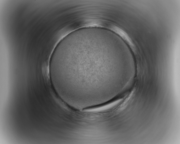 X0000096661234200802121124