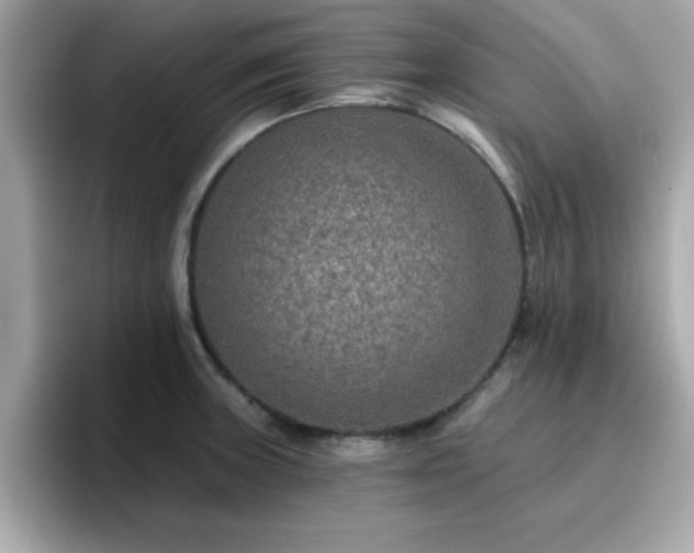 X0000096661235200802121124