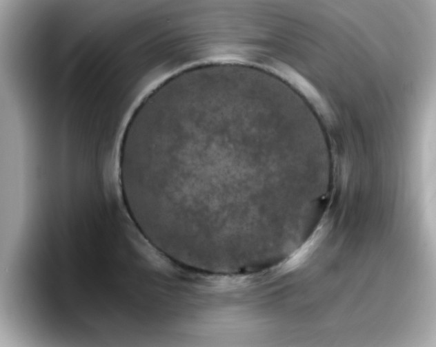 X0000096661240200802121124