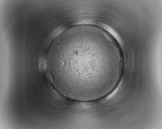 X0000096661241200802121124