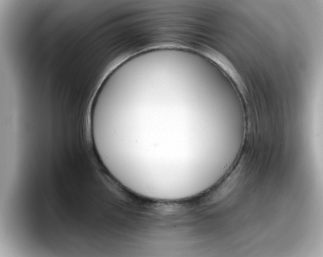 X0000096661242200802121124