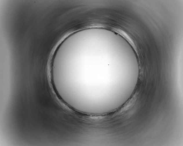 X0000096661243200802121124