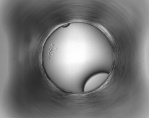 X0000096661244200802121124