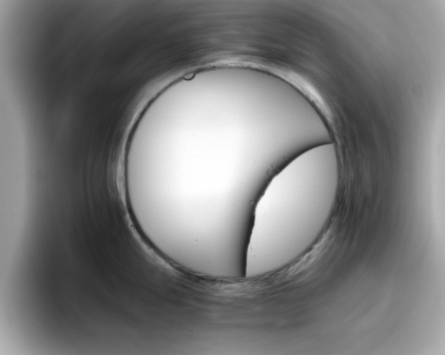 X0000096661247200802121124