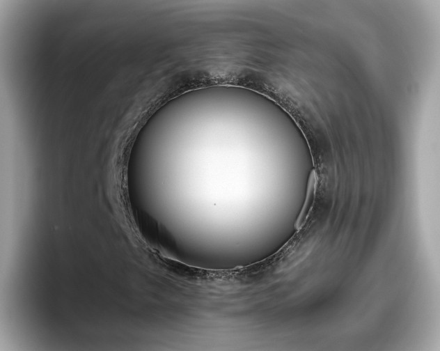 X0000096661249200802121123