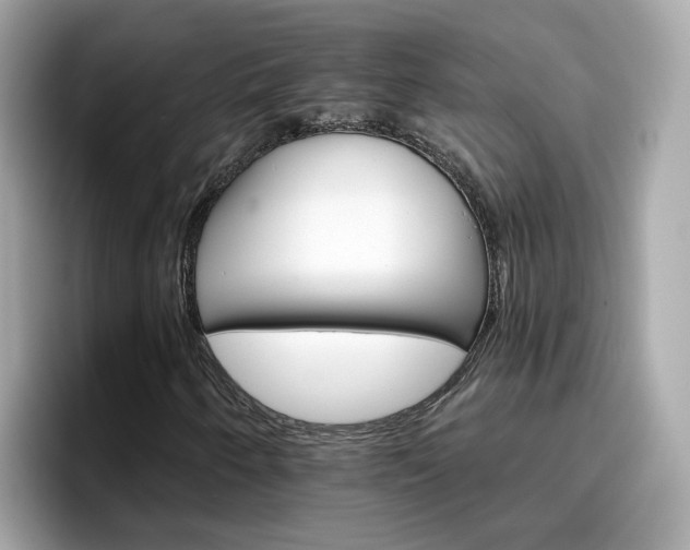 X0000096661250200802121123