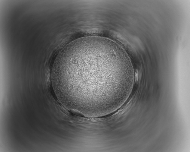 X0000096661251200802121123