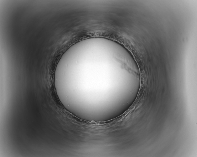 X0000096661253200802121123