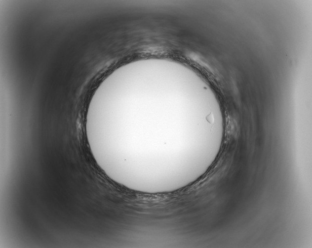 X0000096661254200802121123