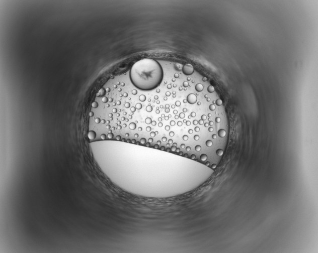 X0000096661255200802121123