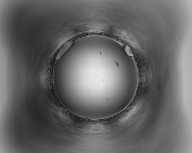 X0000096661256200802121123