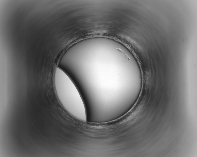 X0000096661257200802121123