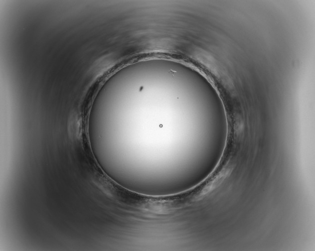 X0000096661258200802121123