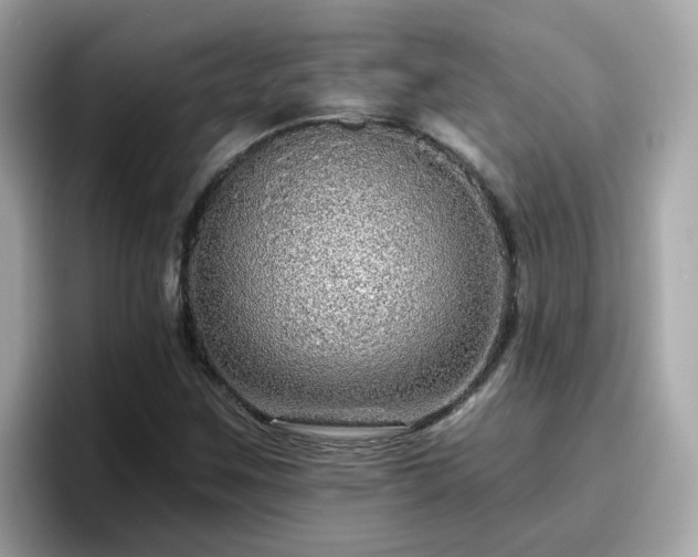 X0000096661259200802121123