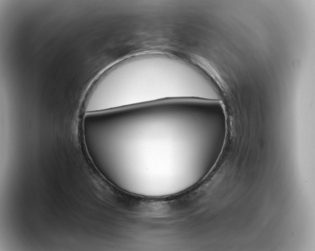 X0000096661260200802121123