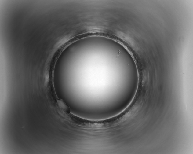 X0000096661261200802121123