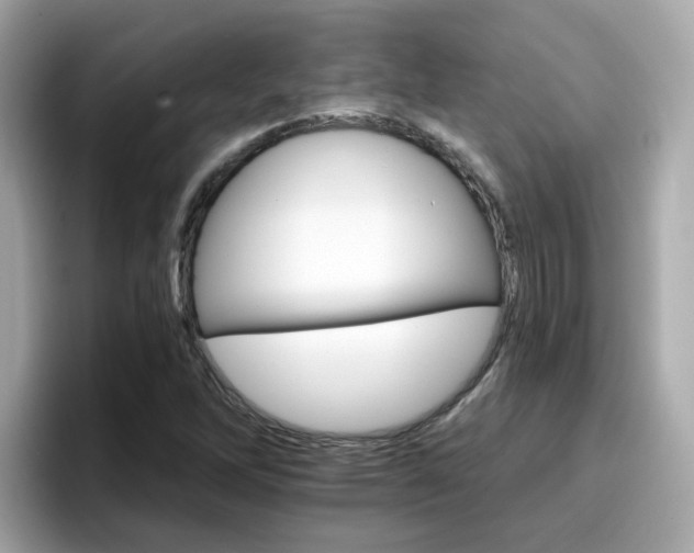 X0000096661262200802121123