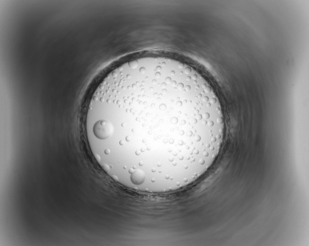 X0000096661263200802121123