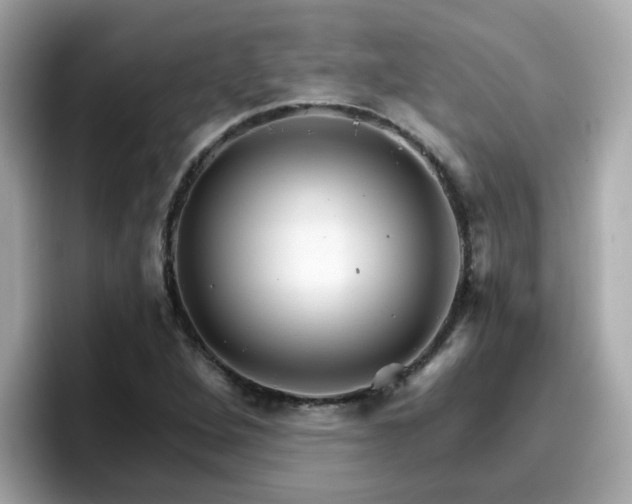 X0000096661264200802121123