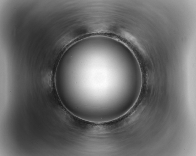 X0000096661265200802121123