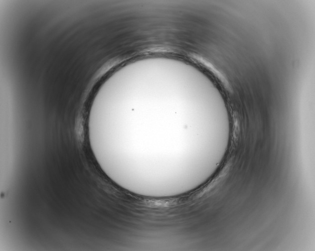 X0000096661266200802121123