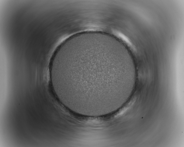 X0000096661267200802121123