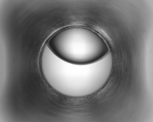 X0000096661268200802121123