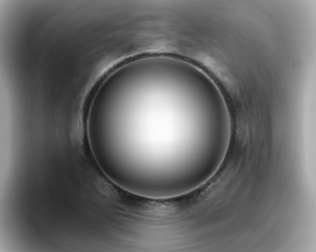 X0000096661270200802121123