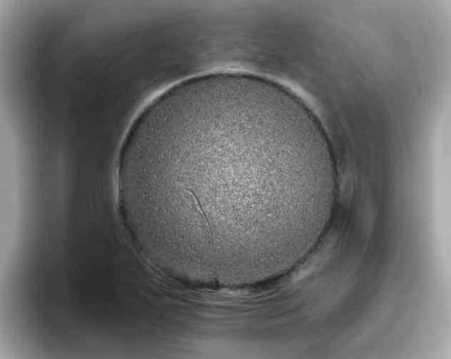 X0000096661271200802121123