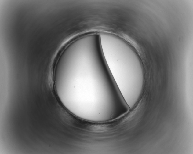 X0000096661272200802121123