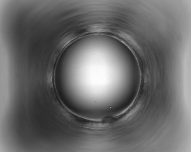 X0000096661273200802121123