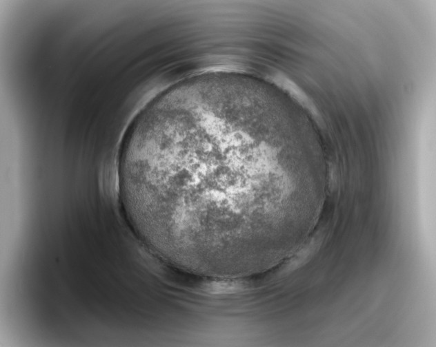 X0000096661274200802121123