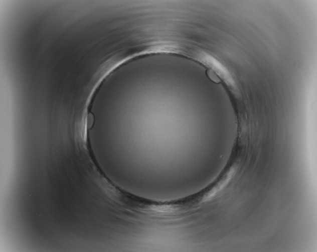 X0000096661276200802121123