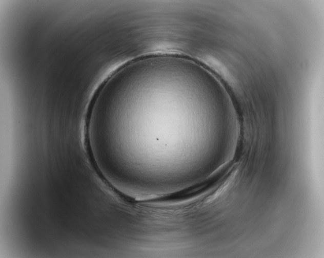 X0000096661277200802121123