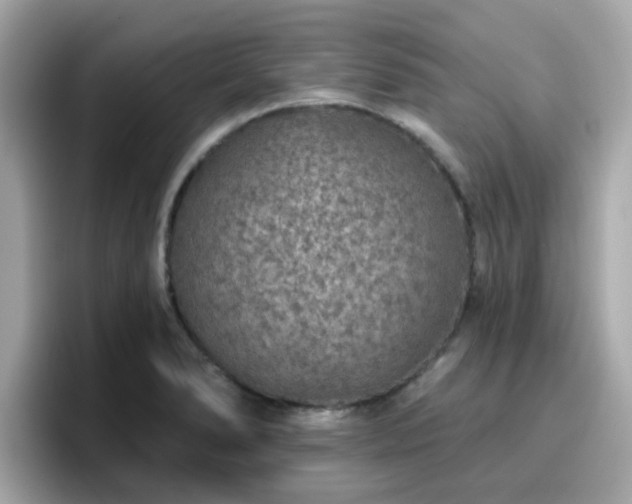 X0000096661278200802121123