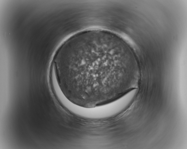 X0000096661279200802121123