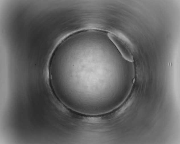 X0000096661280200802121123