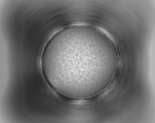 X0000096661282200802121123