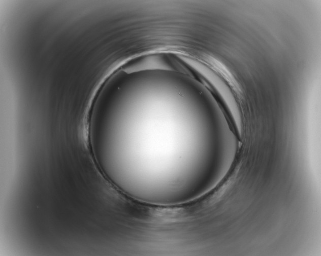 X0000096661284200802121123