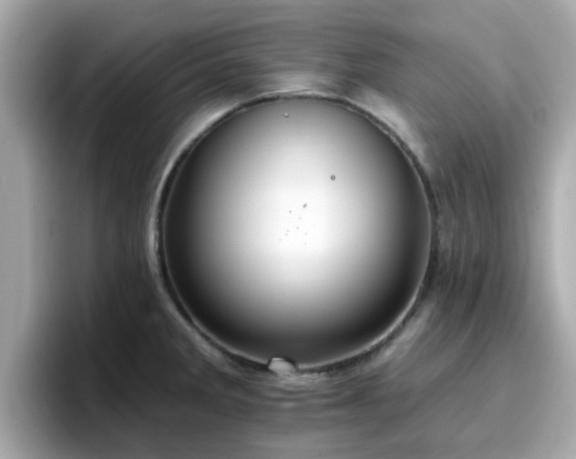 X0000096661285200802121123