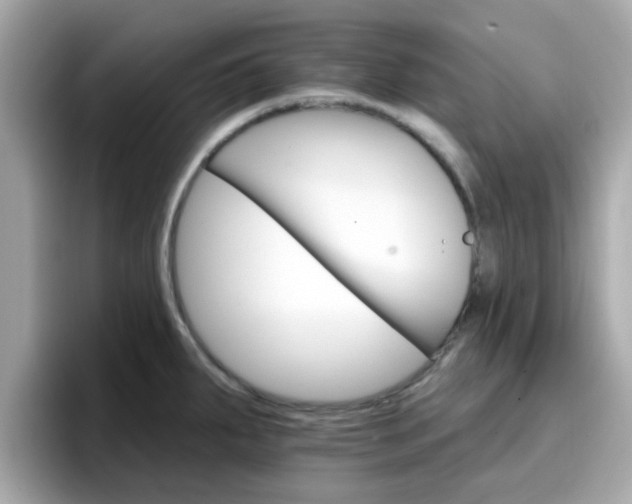 X0000096661287200802121123