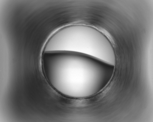 X0000096661288200802121123