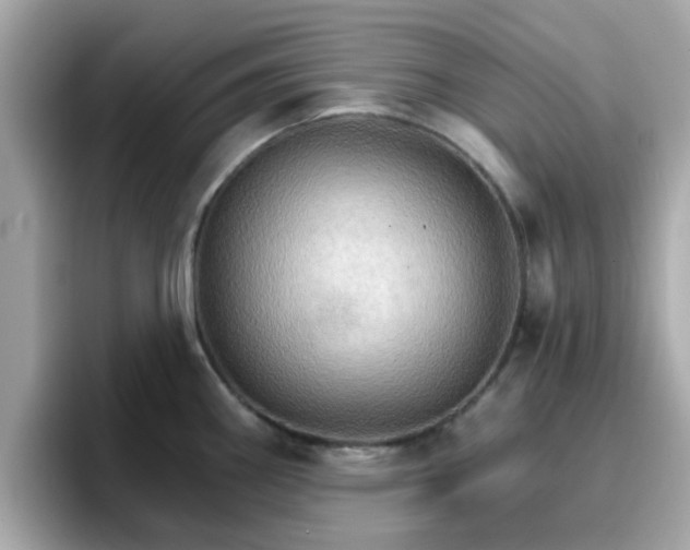 X0000096661290200802121123