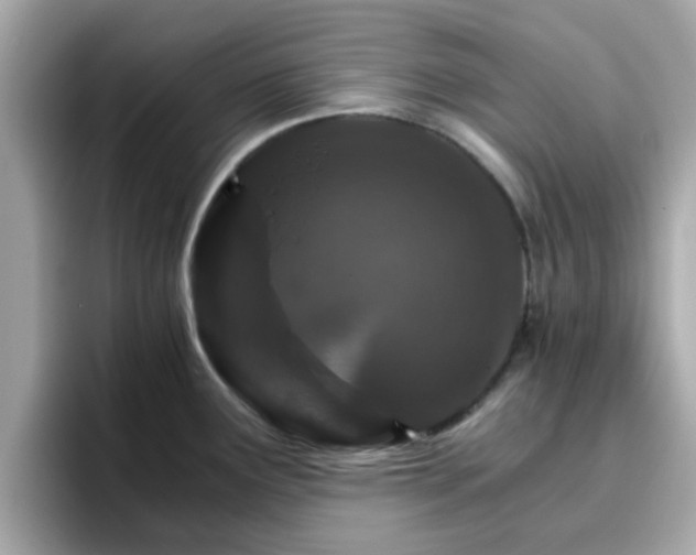 X0000096661291200802121123