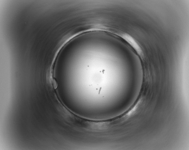 X0000096661292200802121123