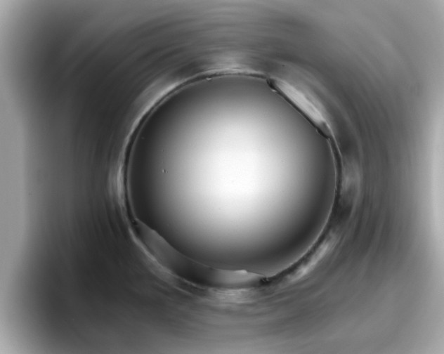 X0000096661293200802121123