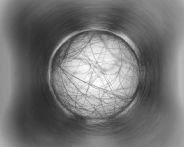 X0000096661294200802121123