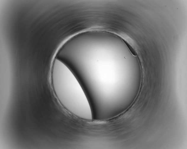 X0000096661296200802121123